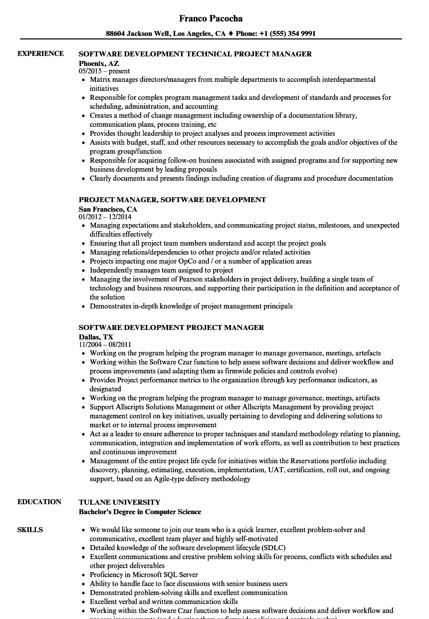 software project manager job description