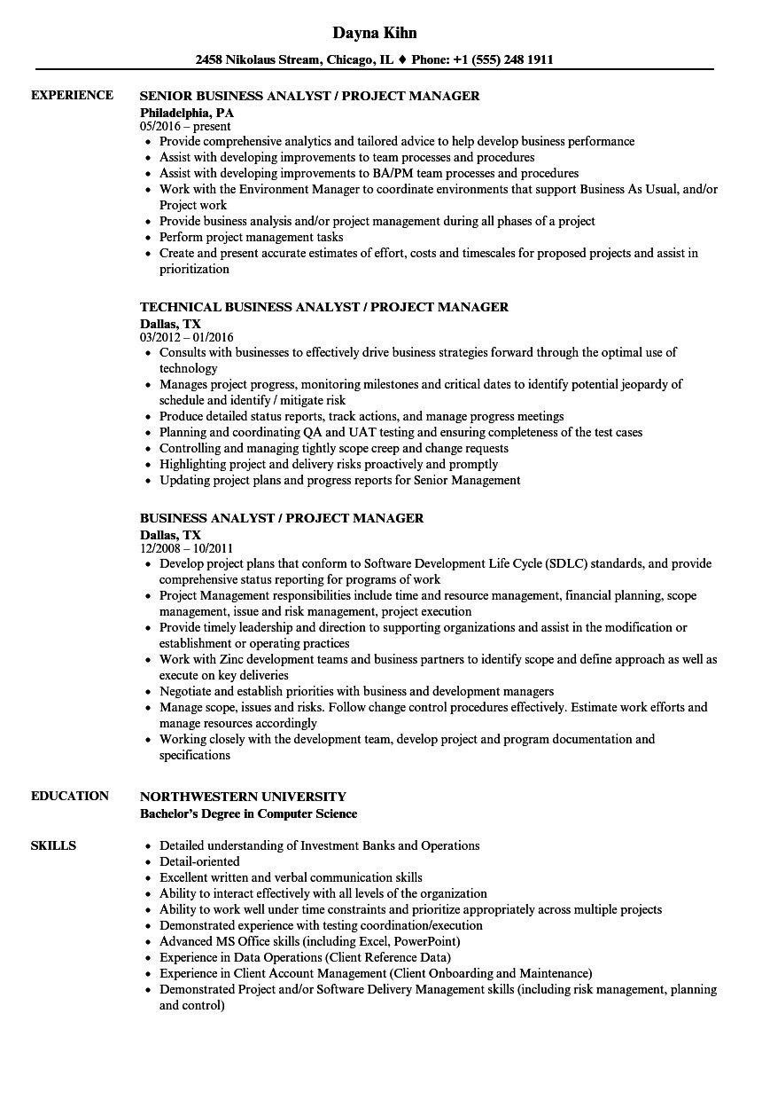 business analyst project manager resume sample