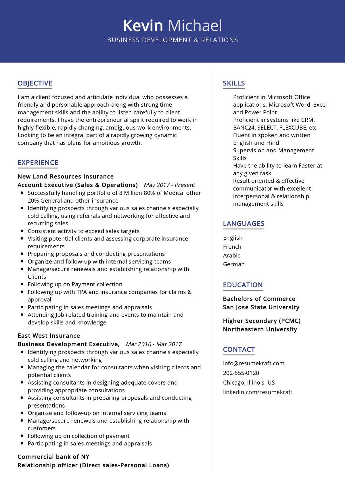 business development manager resume sample