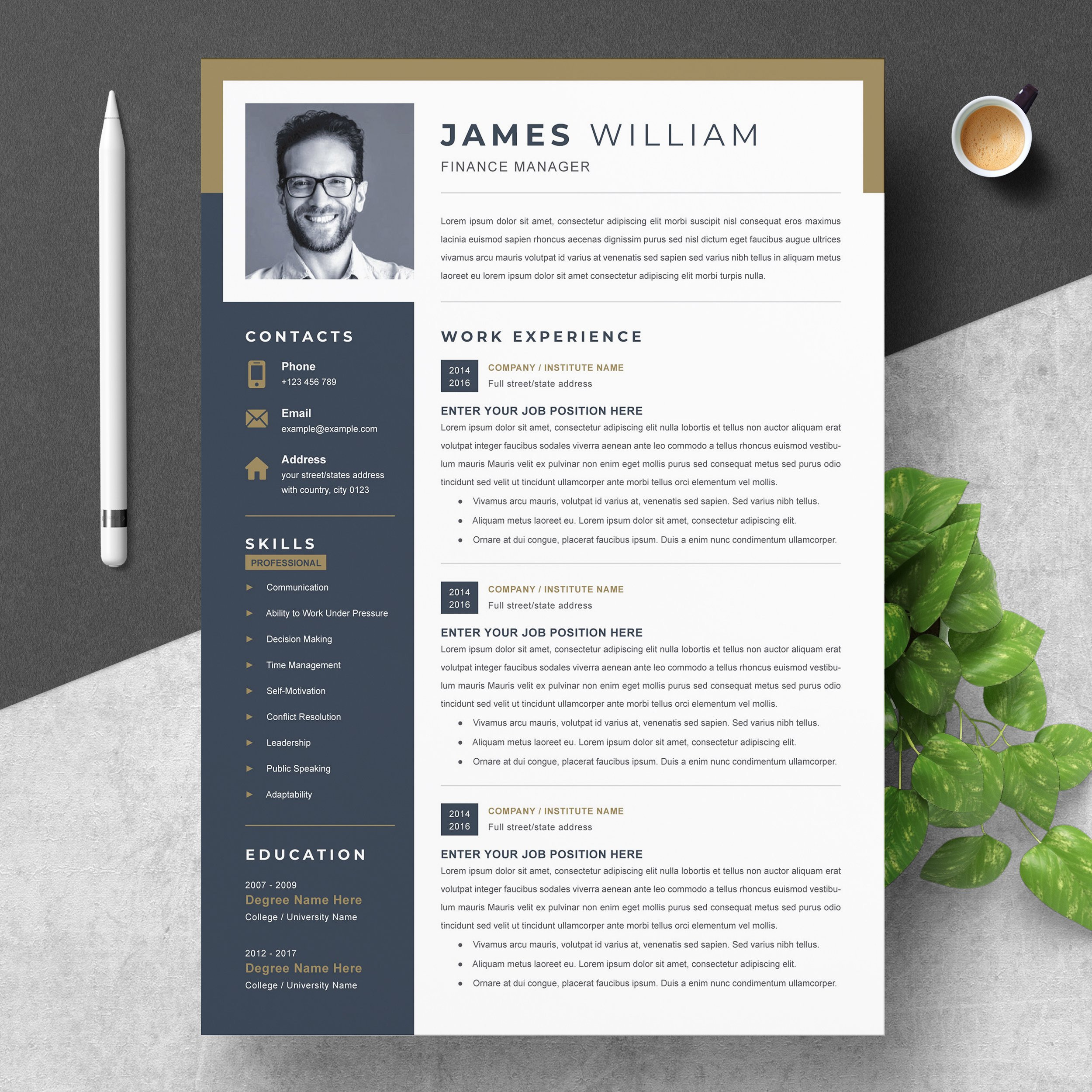 Professional Word Resume Template