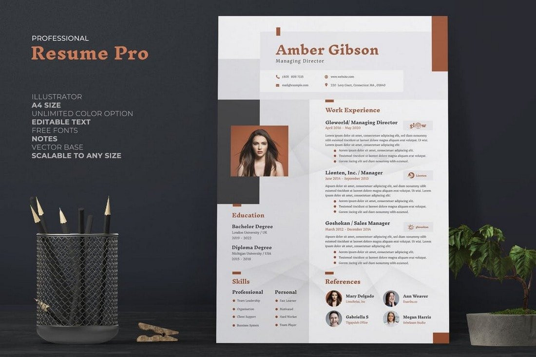 the best cv resume templates 50 examples