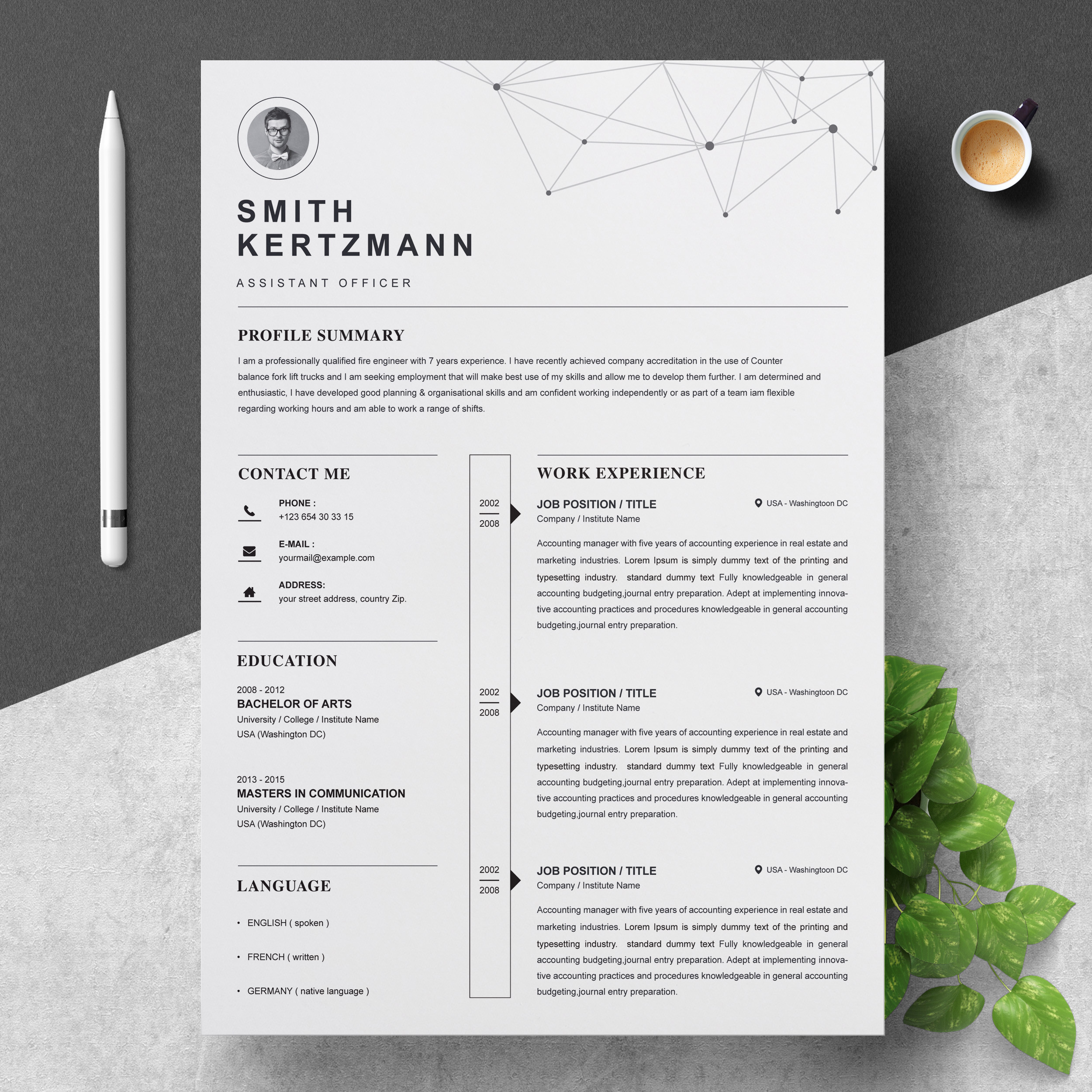 professional resume template 4