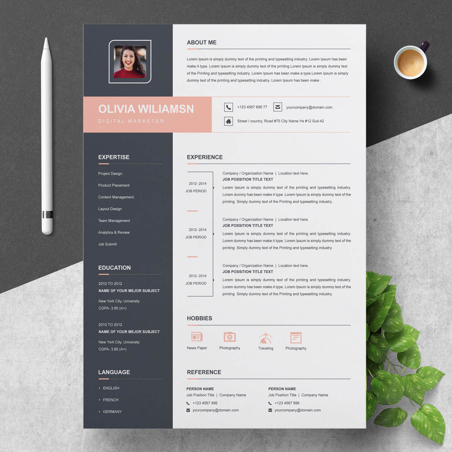 marketing manager resume template 3