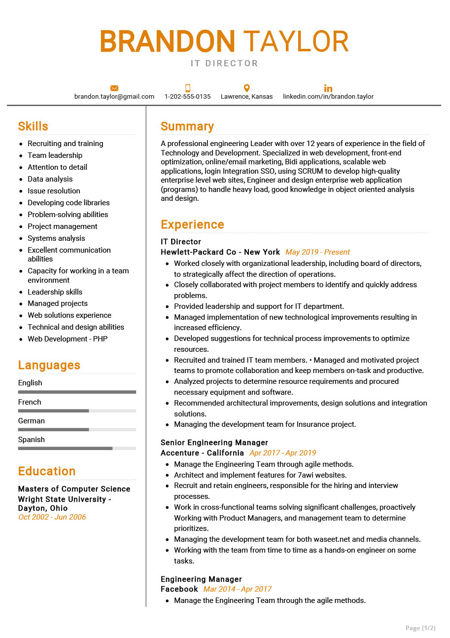 it director resume example