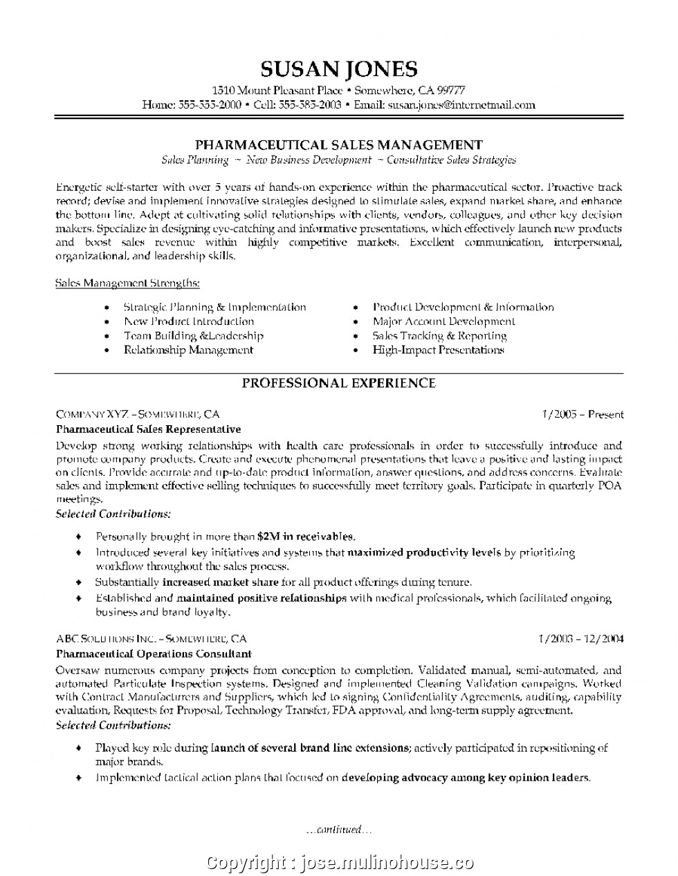 professional sales manager profile resume
