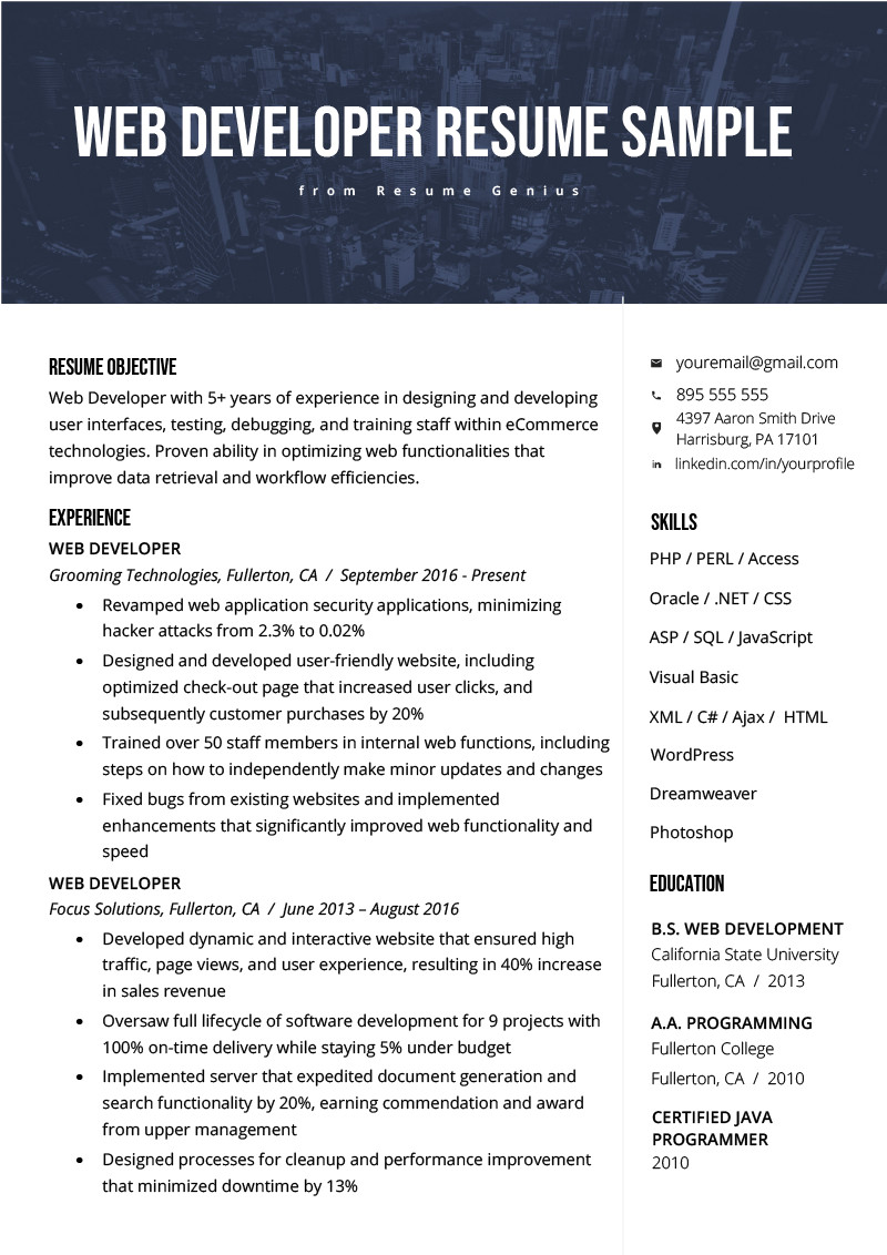 web developer resume example