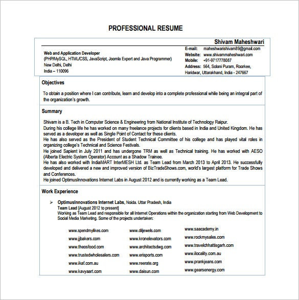 developer resume template