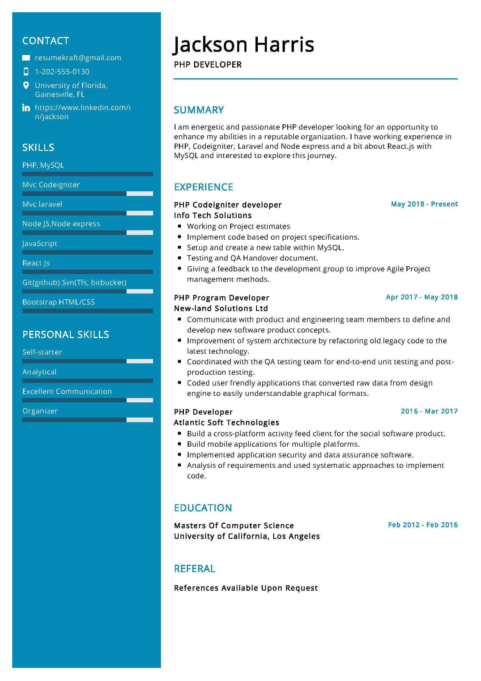 developer resume sample