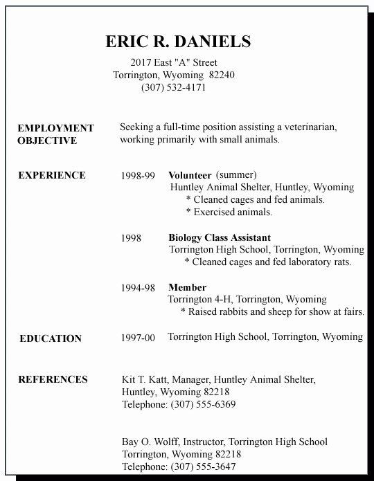 job application first time job seeker resume format for job