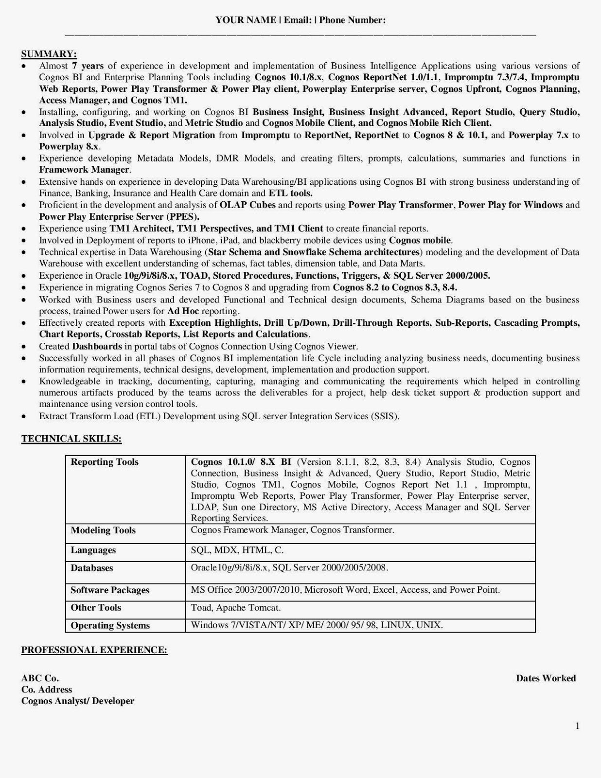 h1b resume sample