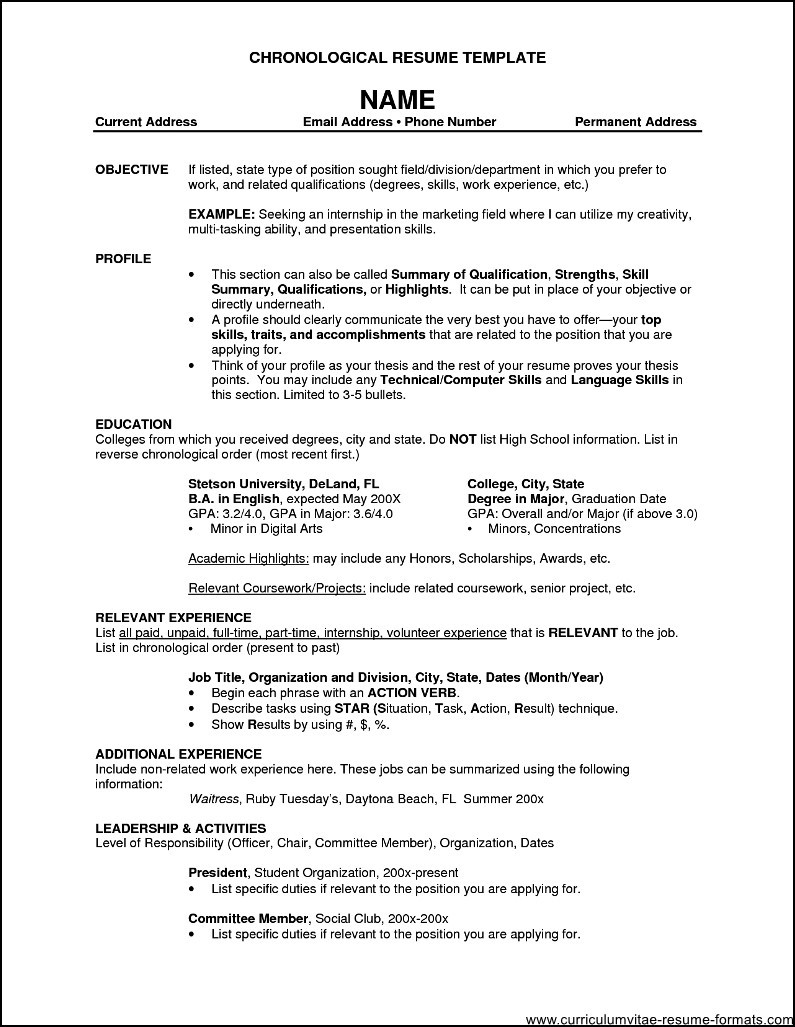 professional resume format for experienced