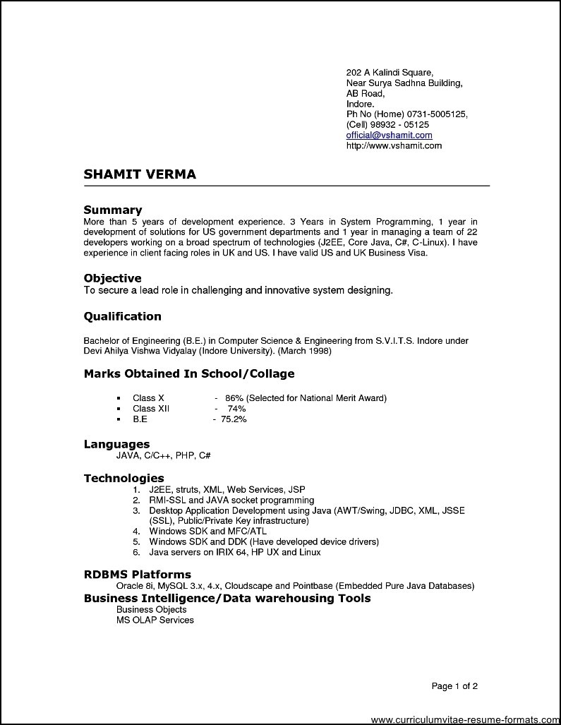 resume format for experienced it professionals doc