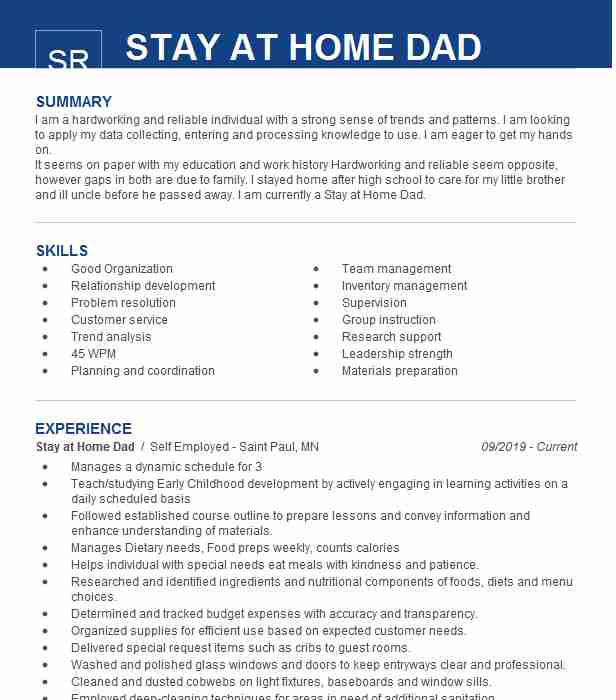 Stay At Home Dad Resume Sample 9978