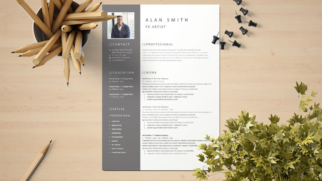 fx artist resume template