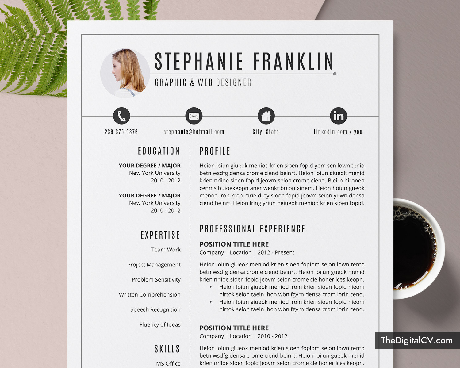 resume templates cv templates cover letter resume editing guide for students interns college graduates mea graduates experienced professionals and career changers stephanie resume