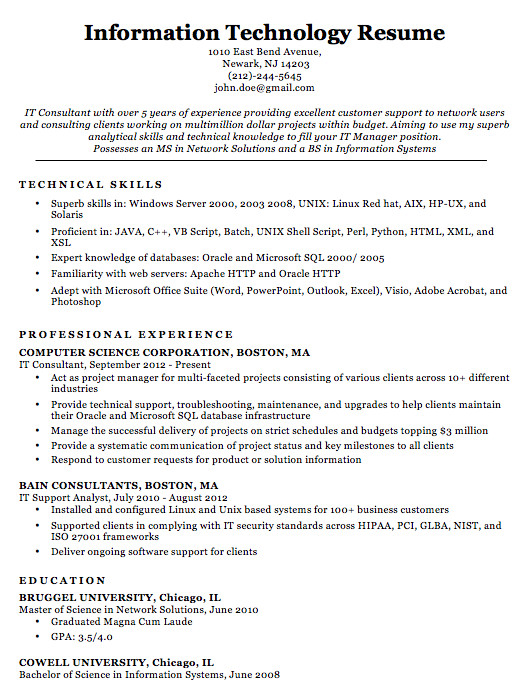 it professional resume samples