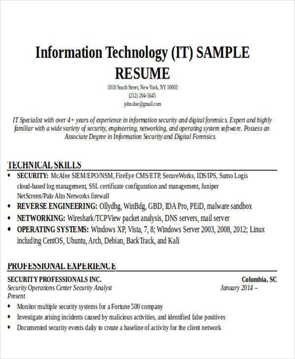 Free Sample Resume for It Professional 24 It Resume Templates Pdf Doc