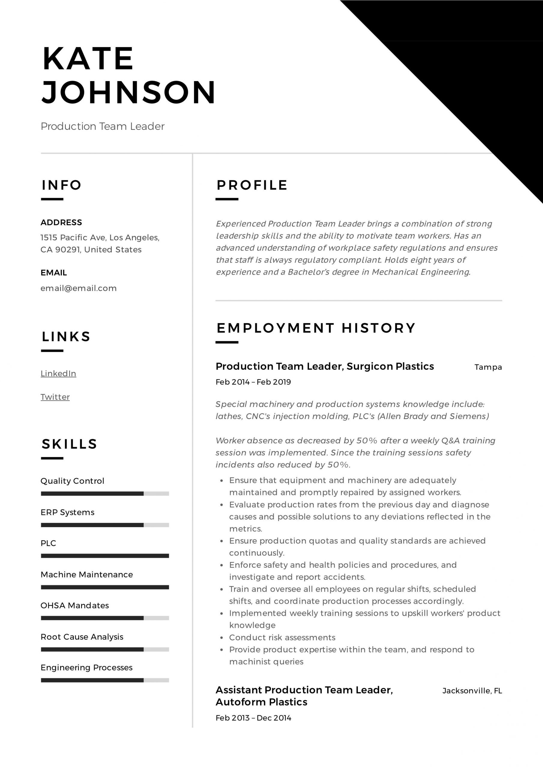 production team leader resume examples