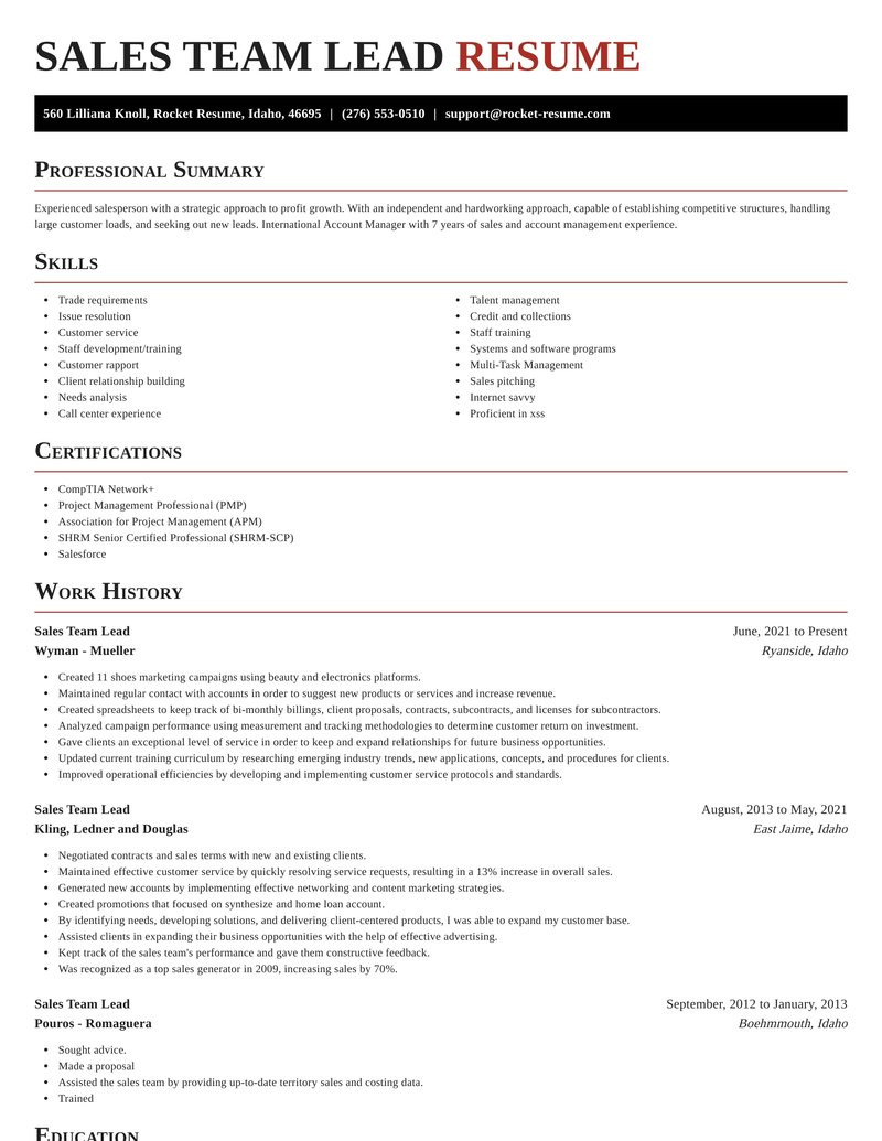 sales team lead professional resume generator samples