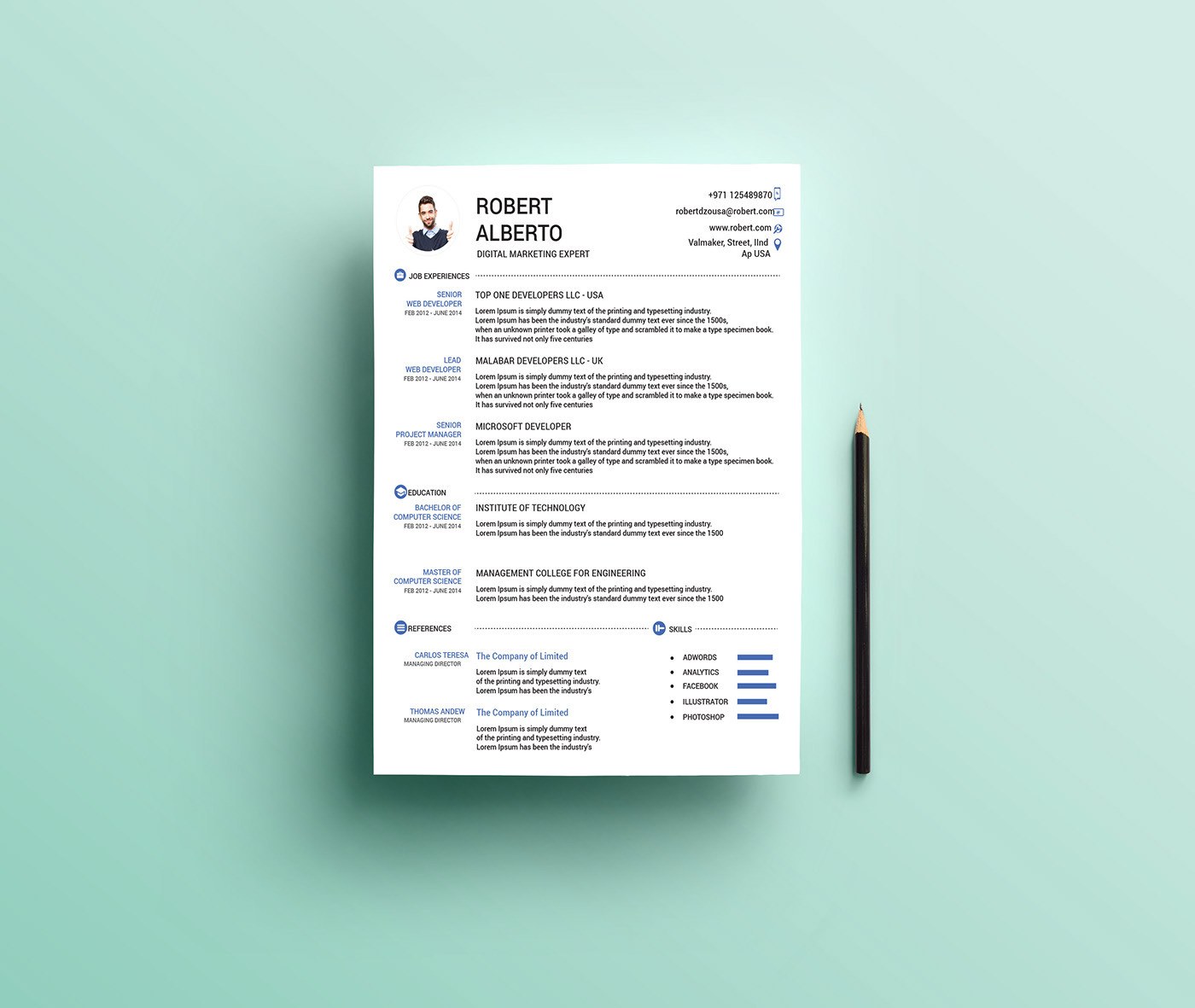 one page resume