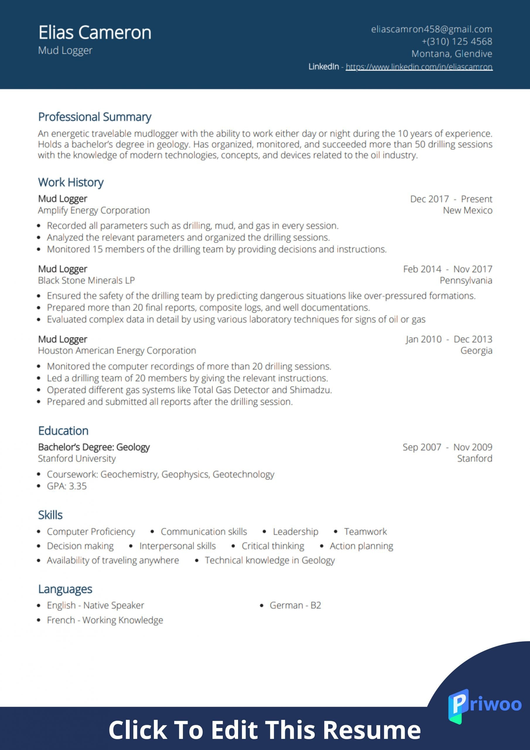 mud logger resume sample