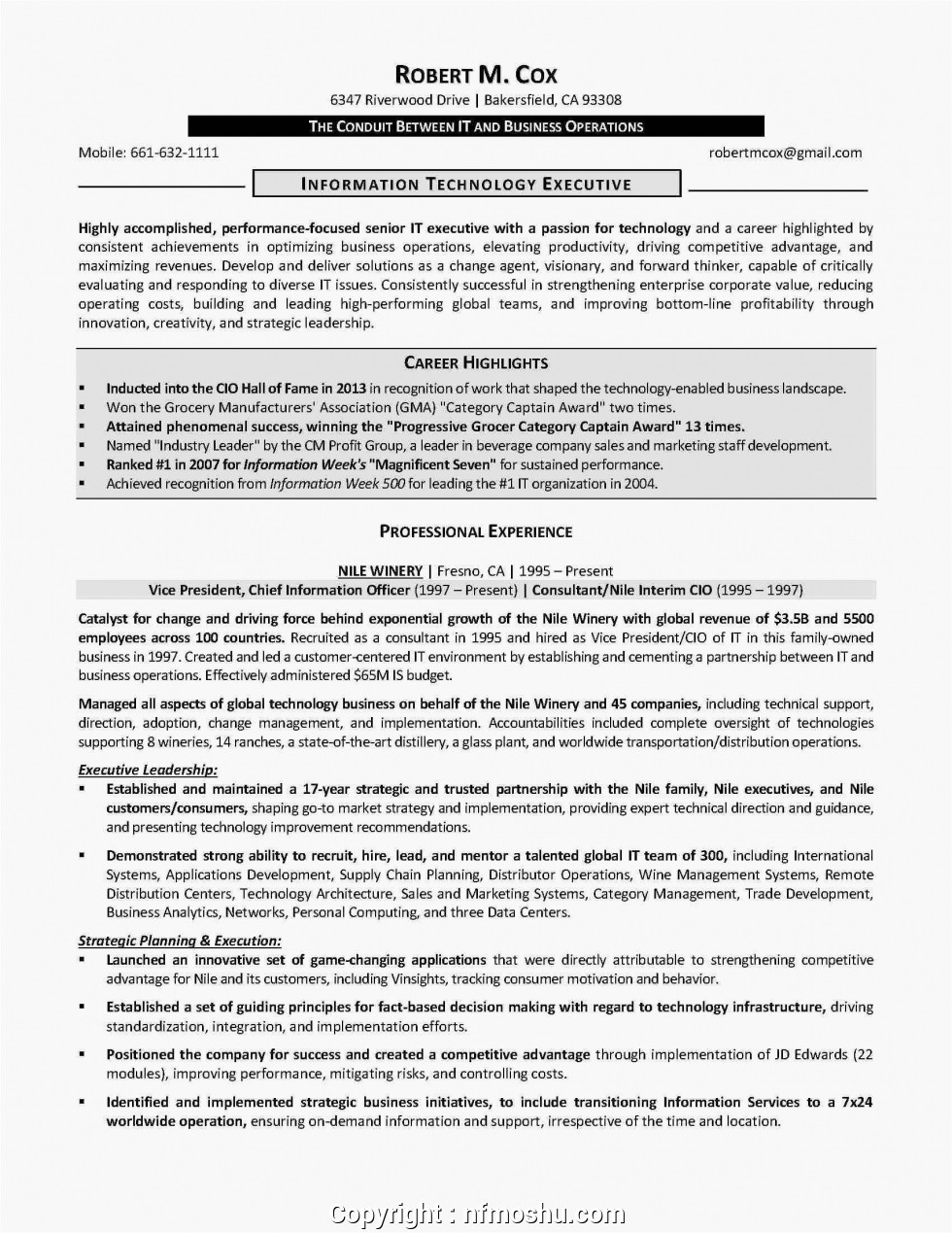 simple functional resume construction project manager
