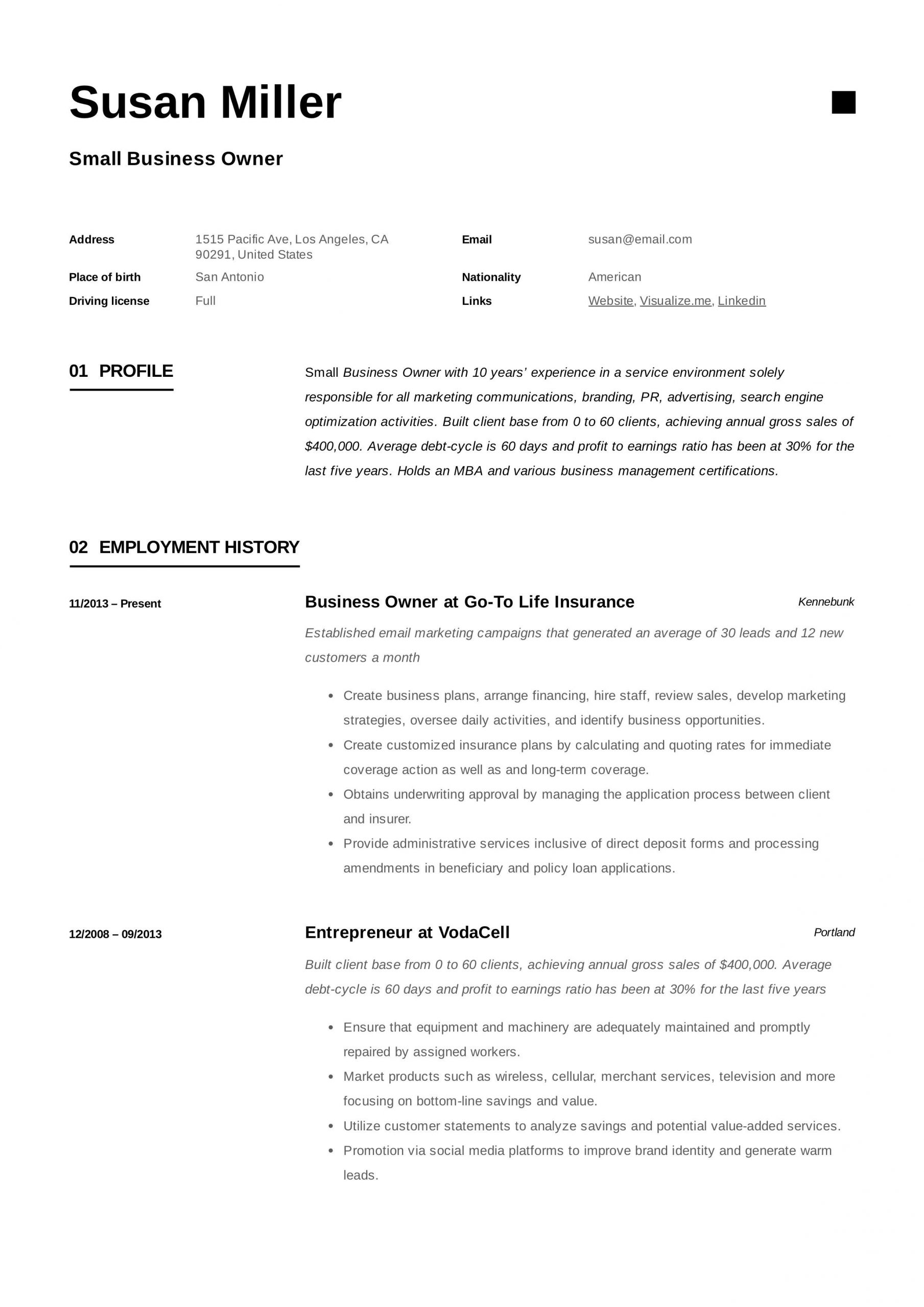 small business owner resume examples