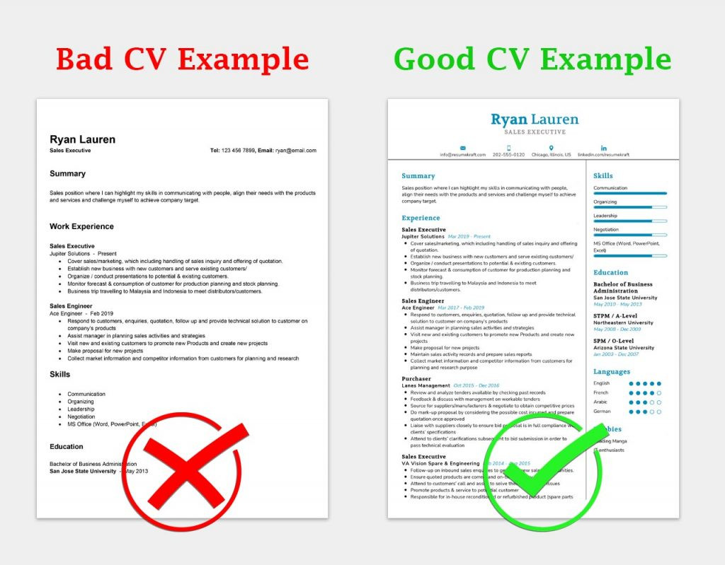 good cv examples