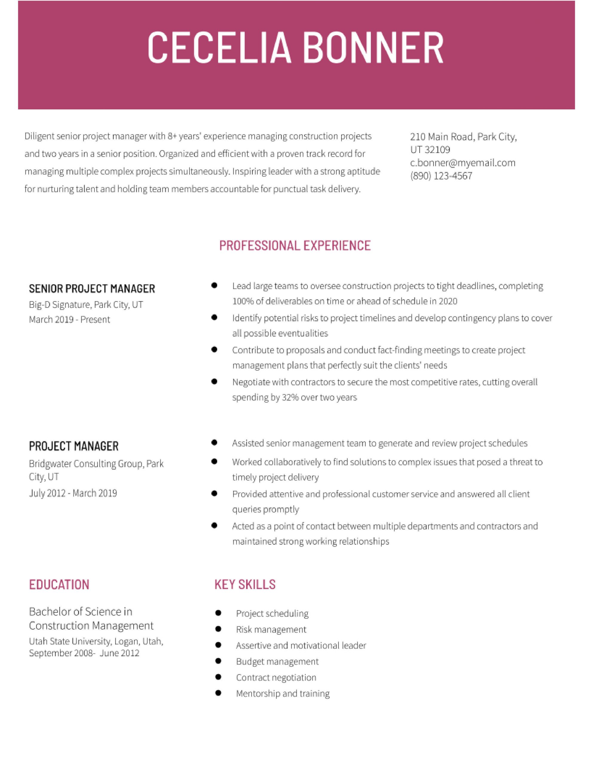 senior project manager resume examples