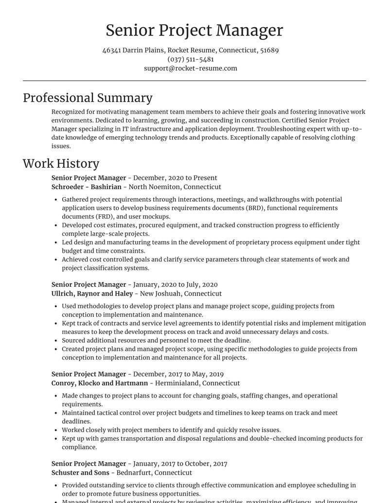 senior project manager simple resume generator templates