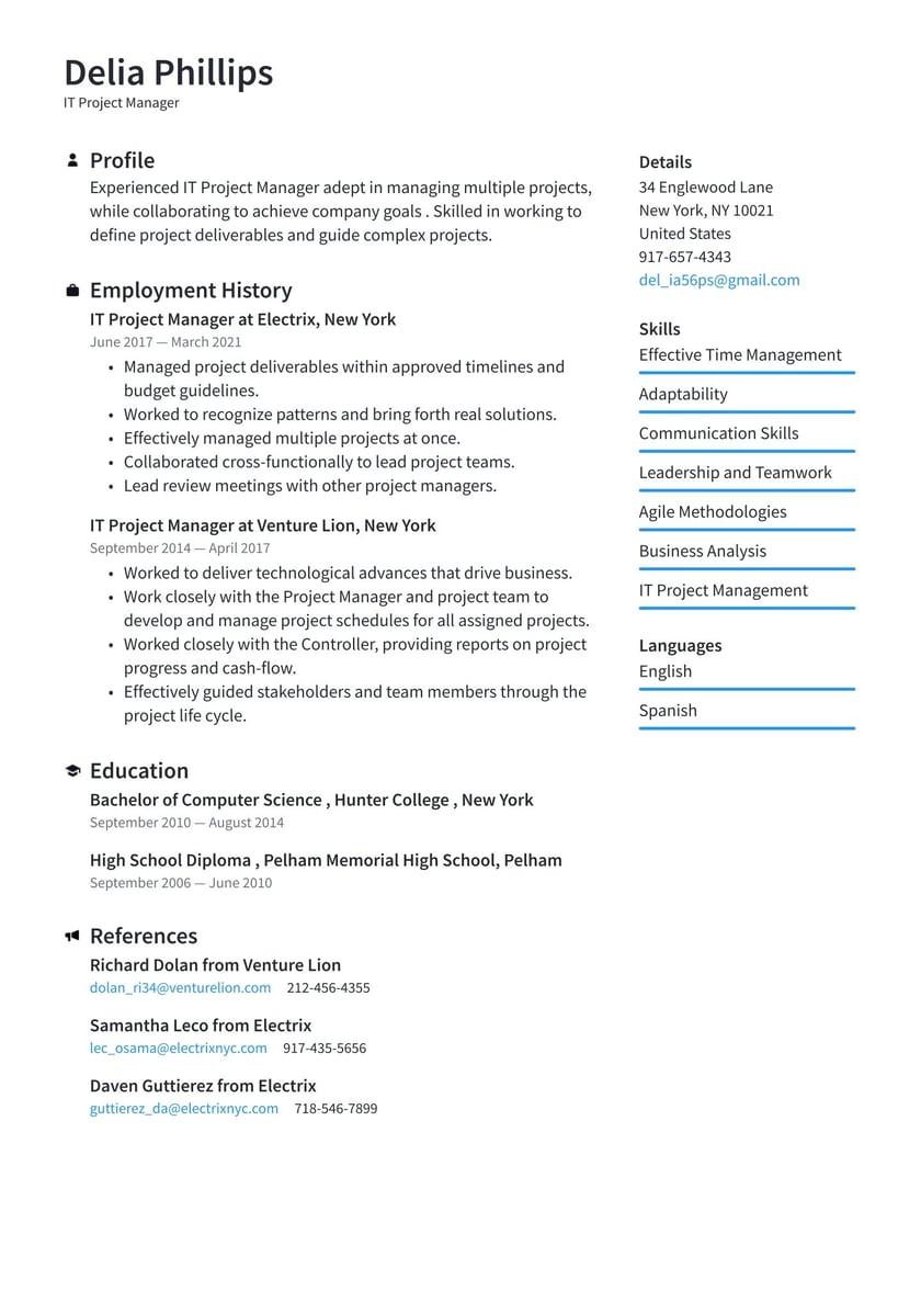 After School Group Leader Resume Samples It Project Manager Resume Examples & Writing Tips 2022 (free Guide)