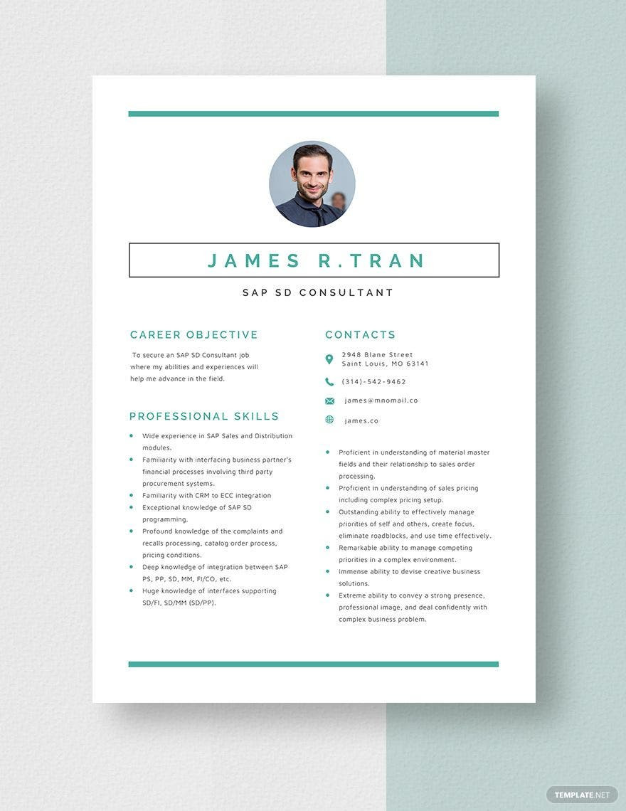 Sap Sd Mm Consultant Resume Sample Free Free Sap Sd Consultant Resume Template – Word, Apple Pages