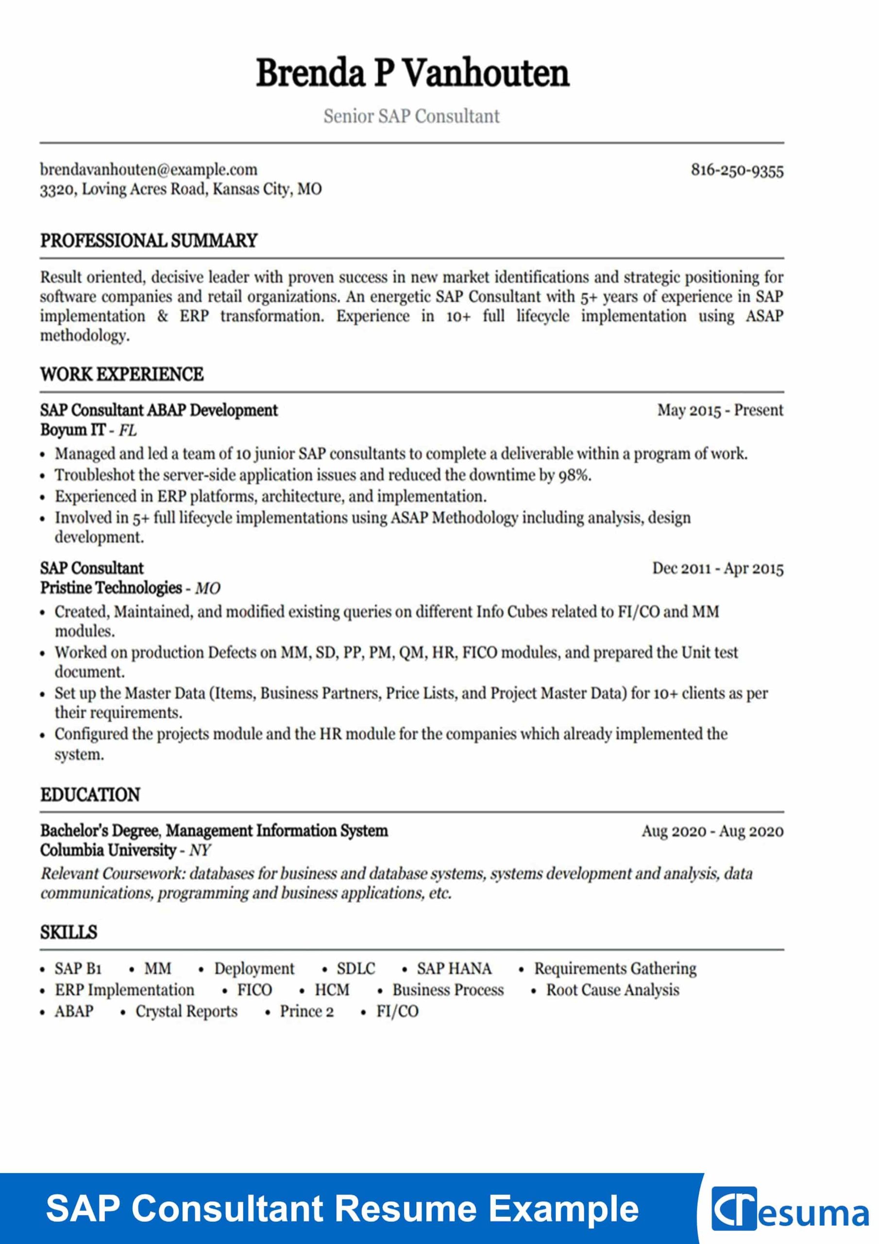 Sap Sd Mm Consultant Resume Sample Sap Consultant Resume Example