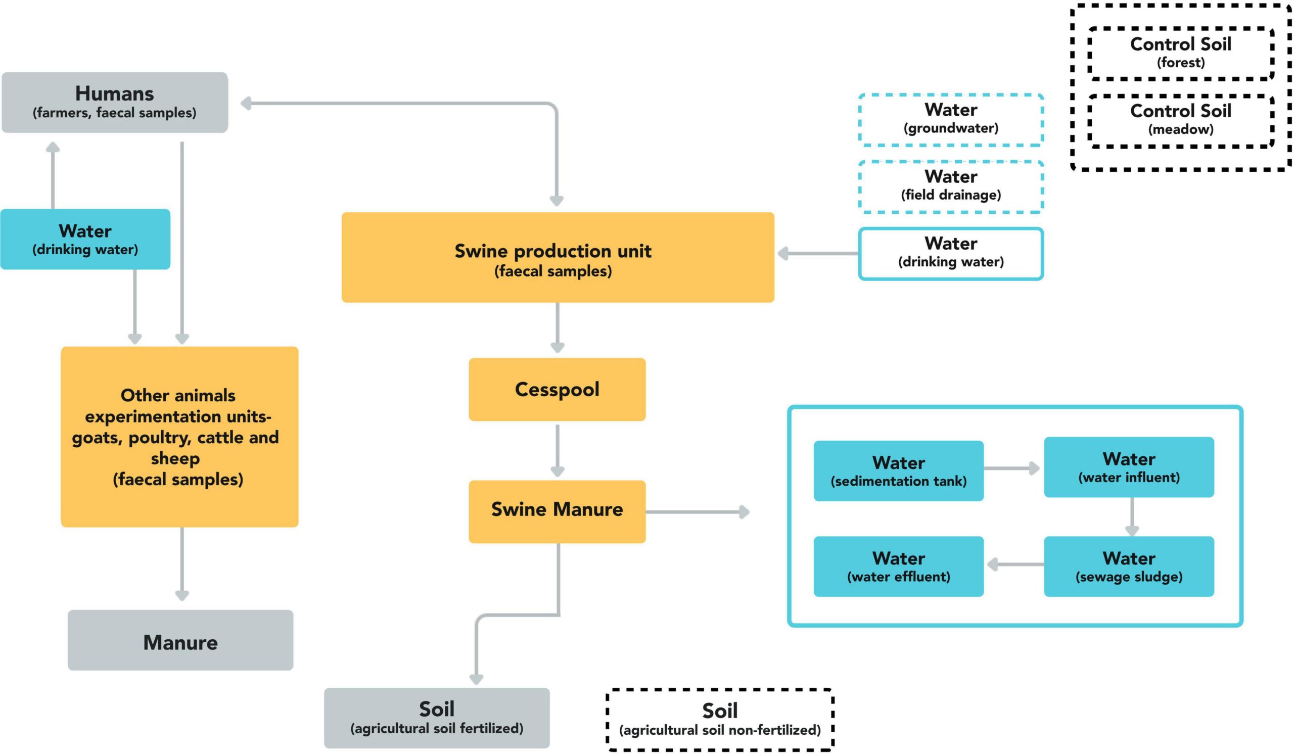 Agriculture Resume Sample In Swine Husbandry and Production Frontiers assessment Of the Transmission Dynamics Of …