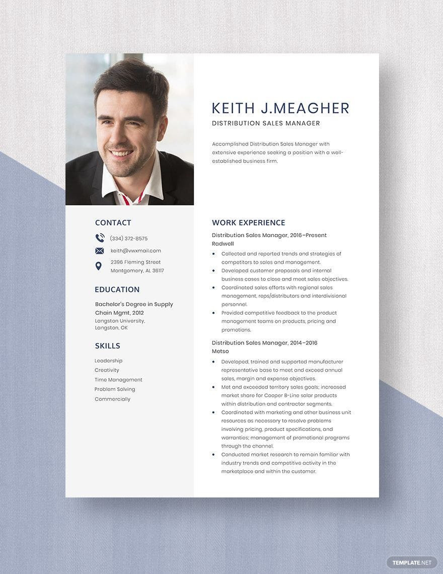 Furniture Manufacturer Regional Sales Manager Resume Sample Sales Manager Resume Templates – Design, Free, Download Template.net