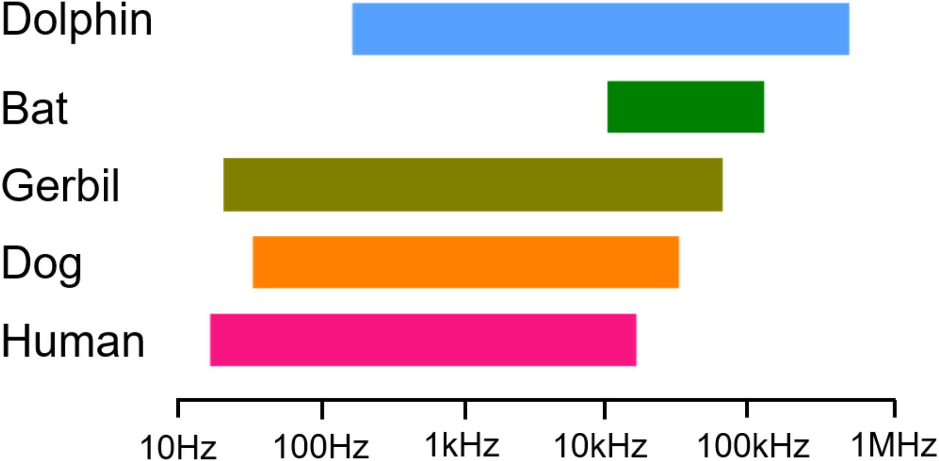 Max Wax for Hair Samples Of Resume Objectives Frontiers Functional Parameters Of Prestin are Not Correlated …