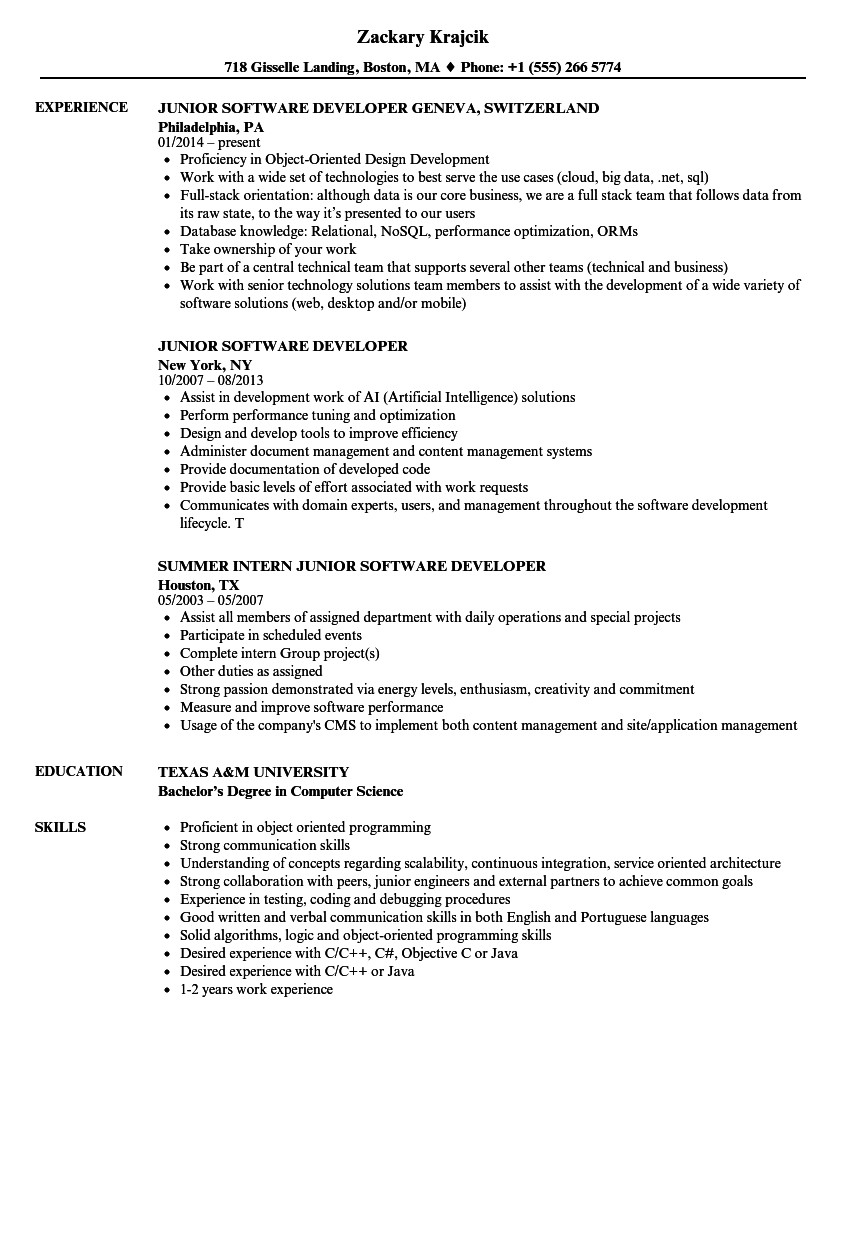 Sample Resume Director Of software Development Junior software Developer Resume