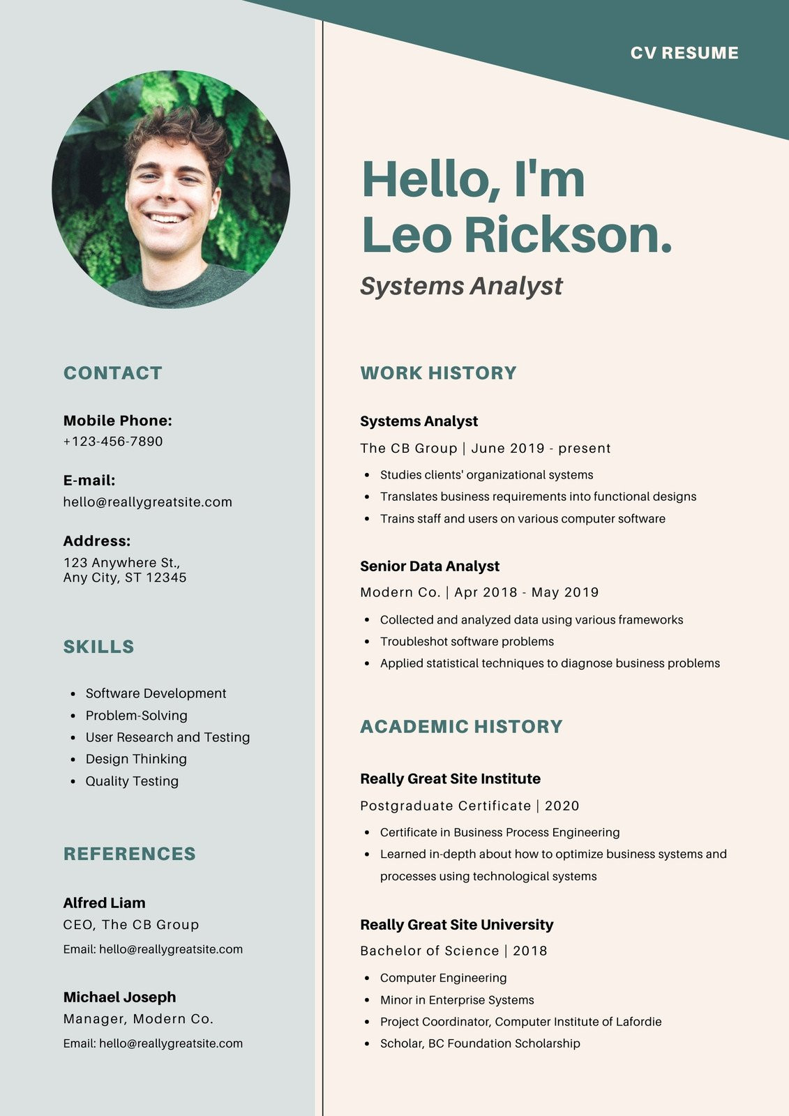 Business Analyst with Health Care Mdw Resume Samples Page 12 – Free Printable Resume Templates You Can Customize Canva