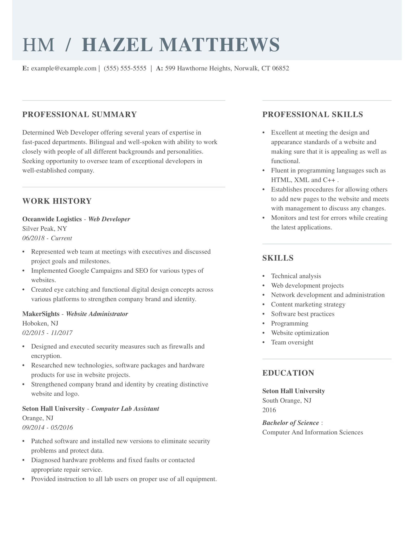 Website where You Can Print A Sample Resume Basic Resume Templates for 2022 (free Downloads)