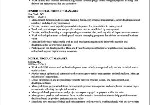 10 Project Manager Resume Samples Jobherojobhero 10lancarrezekiq Talent Acquisition Manager Resume Samples Jobherojobhero …