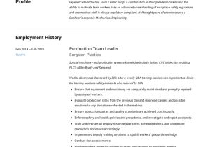 After School Group Leader Sample Resume Full Guide: Production Team Leader Resume 12 Examples