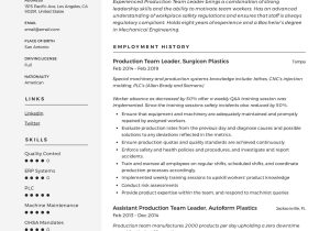 After School Group Leader Sample Resume Full Guide: Production Team Leader Resume 12 Examples