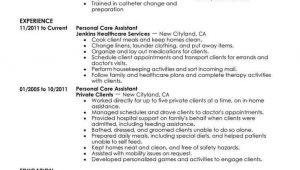 Aged Care Resume Sample No Experience Resume for Career Change with No Experience Special Best