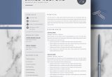 Apple Pages Resume Template Download Free Professional Resume Template for Mac Pages and Word On Behance