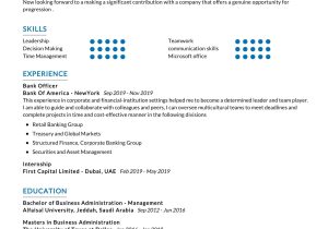 Bank Board Of Directors Sample Resume Bank Officer Resume Sample 2022 Writing Tips – Resumekraft