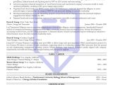 Bank Board Of Directors Sample Resume High-impact Chief Financial Officer (cfo) Resume Sample â Resume …