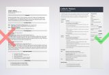 Bartending Resume Templates with No Experience Bartender Resume Examples & List Of Bartending Skills [2021]