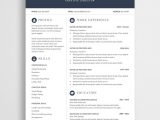 Best Professional Resume Templates Free Download Free Cv Template for Word Free Resume Template Word, Cv Template …