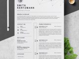 Best Professional Resume Templates Free Download Professional Resume Template â Free Resumes, Templates Pixelify.net