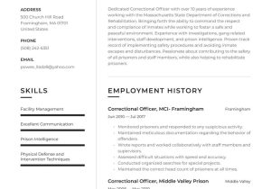 Building A Detention Officer Resume Sample Correctional Officer Resume Examples & Writing Tips 2022 (free Guide)